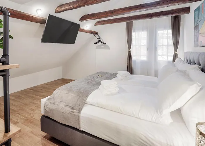 Visimo St Georgen-strasse St Gallen - Design Nature St. Gallen